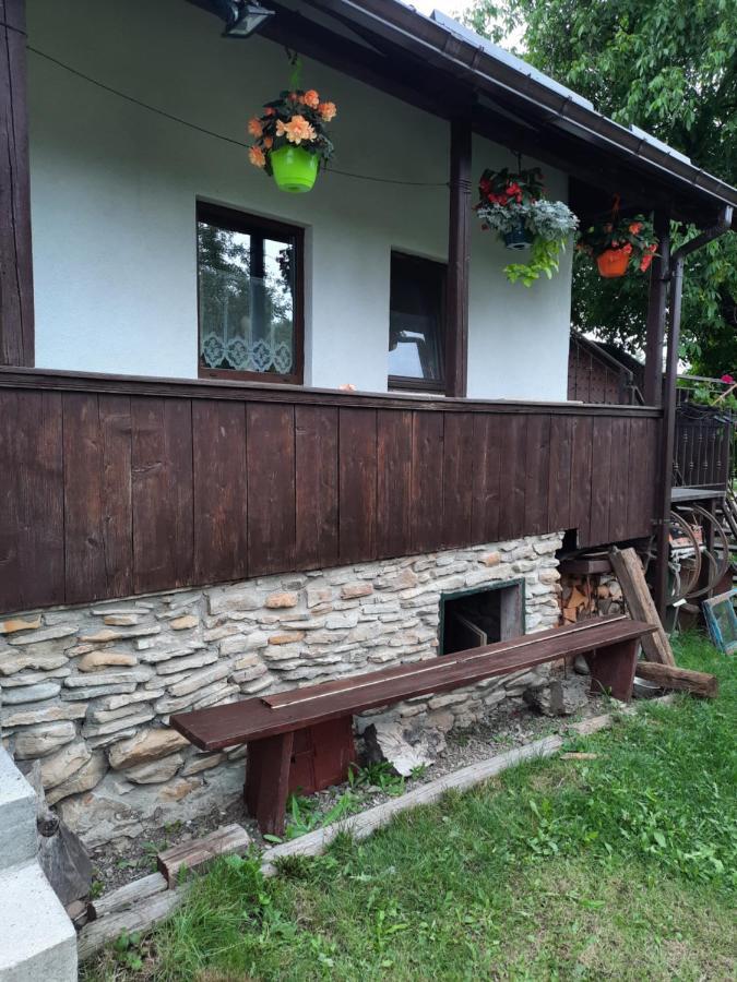 Вилла Casa Bunicilor Ciprian Porumbescu Экстерьер фото