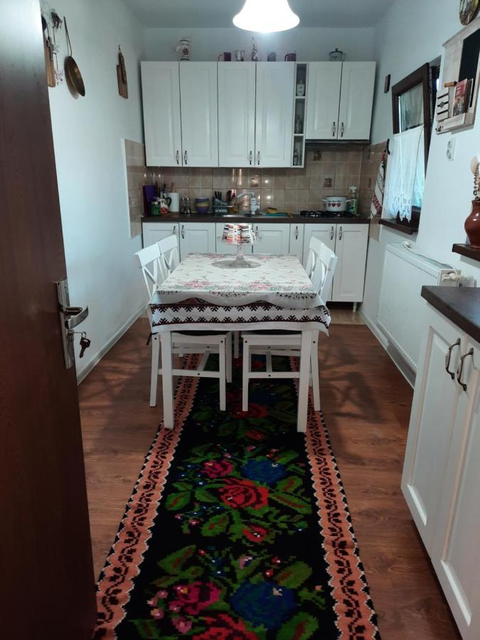 Вилла Casa Bunicilor Ciprian Porumbescu Экстерьер фото