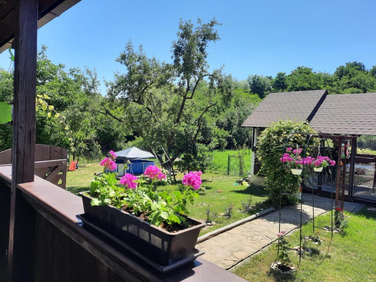 Вилла Casa Bunicilor Ciprian Porumbescu Экстерьер фото